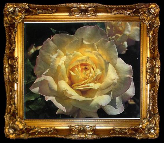framed  unknow artist Still life floral, all kinds of reality flowers oil painting  209, ta009-2